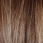 08 Dark Blonde