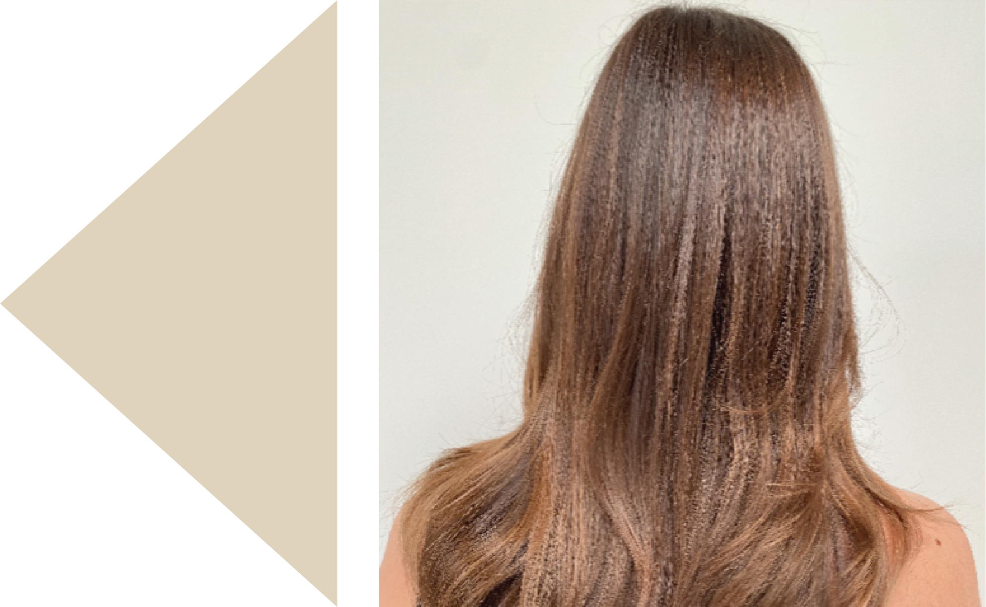 PREVIOUS 07 Light Brown